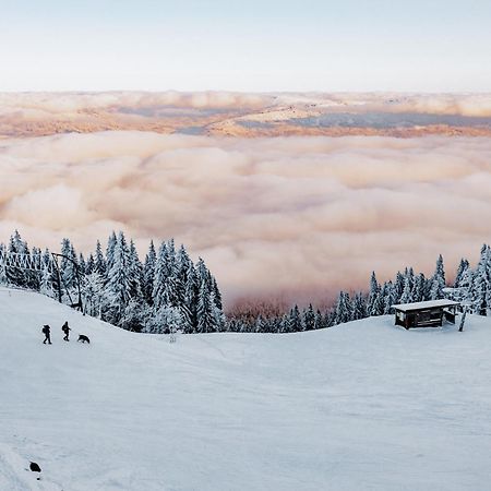 Orea Hotel Spicak Sumava Železná Ruda Екстериор снимка